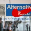 Is the far-right AfD misusing its parliamentary questions?