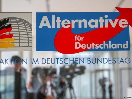 Is the far-right AfD misusing its parliamentary questions?