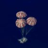 Artemis II splashes down in Pacific after historic moon trip