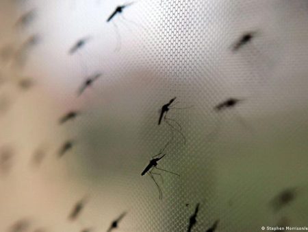 WHO approves first Malaria drug for babies
