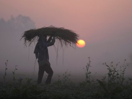 As Iran crisis drags on, fears of global food crisis grow