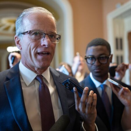 Republican divisions could bring Democratic midterm additions