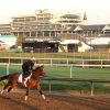 New Kentucky Law Opens Door for Fixed-Odds Horse Racing