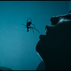 Spider-Horror Pic ‘Crawlers’ Acquired By Roadside Attractions & Saban Films