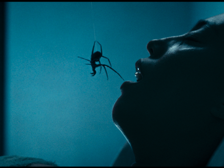 Spider-Horror Pic ‘Crawlers’ Acquired By Roadside Attractions & Saban Films