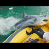 ‘Deep Water’ Review: Renny Harlin’s Double-Dip Disaster Movie — Plane Crash + Shark Thriller —  Has His Signature Schlock Touch