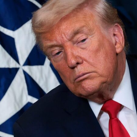 Trump’s rage at NATO allies is binding them together — against him 