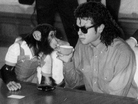 Where is Michael Jackson’s Chimpanzee Bubbles Now? Inside His ‘Peaceful’ Life and Why Filmmakers Used a CGI Chimp in ‘Michael’ 