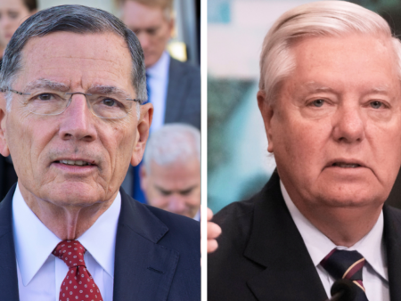 Top GOP senators to meet with Trump on DHS funding