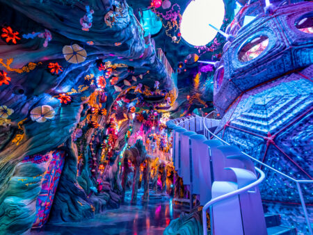 Meow Wolf Finds New CEO After Year-Long Search