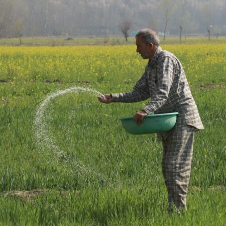 ‘It all depends on the crop’: Gulf crisis hits South Asia farmers