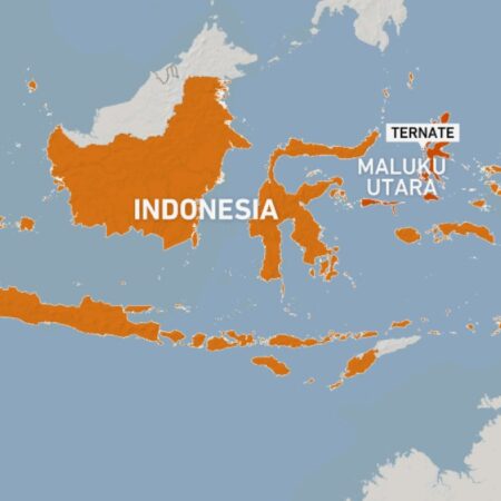 Magnitude 7.4 quake hits off Indonesia’s Ternate, tsunami warning triggered