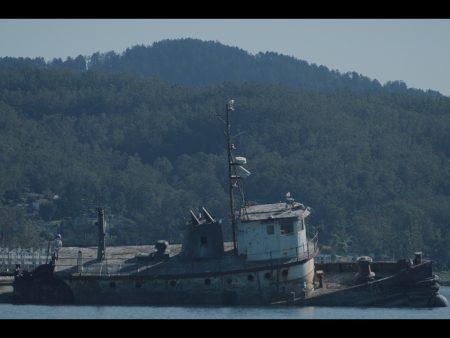 Zizians Docuseries Set At HBO