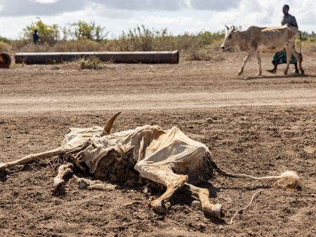 More than 6 million Somalis face hunger amid climate shocks and conflict