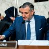 Cruz: Schumer will shut down government weeks before midterms