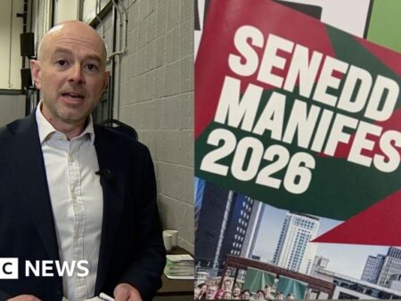 Wales Green Party manifesto explained in a minute