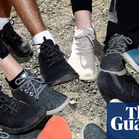 ‘From high flyer to dead parrot’: former billion-dollar eco-shoe brand Allbirds sold for $39m