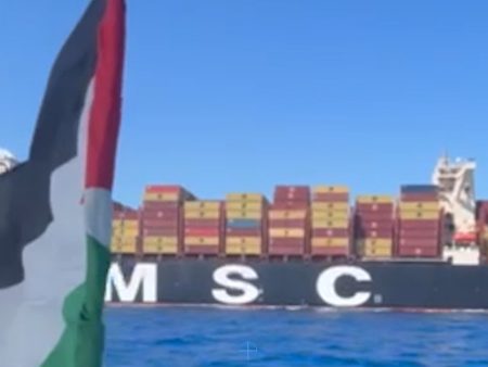 Global Sumud Flotilla disrupts cargo ship bound for Israel