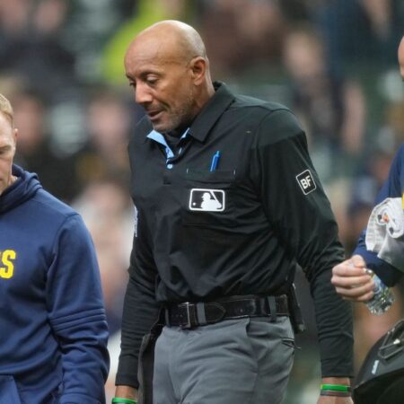 Ump Bucknor hit in face mask in Rays-Brewers