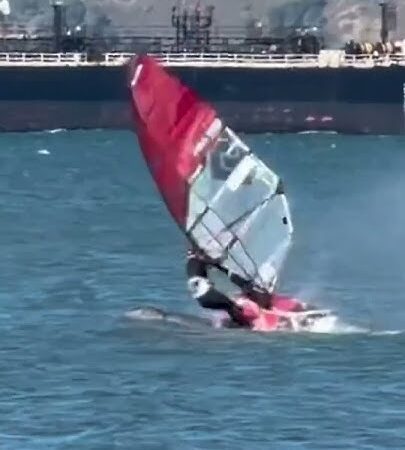 Unsuspecting windsurfer collides with gray whale in the San Francisco Bay