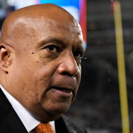 Bears’ stadium choice ‘late spring, early summer’