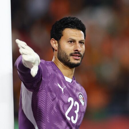 Egypt and Al-Ahly keeper El-Shenawy banned four games for striking referee