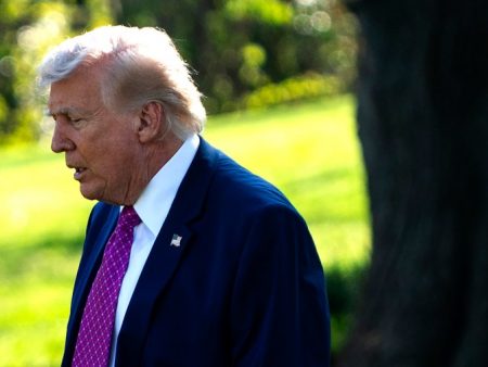 The Memo: Trump’s claims on Iran feed optimism — and confusion