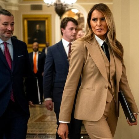 Law criminalizing online sexually explicit images sees first conviction