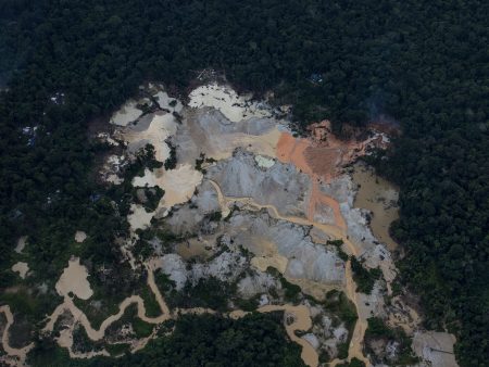 Global Demand for Rare Earth Minerals Is Intensifying Criminal Threats in the Amazon Rainforest