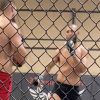 Khamzat Chimaev shares unseen sparring footage with Sean Strickland