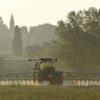 EU trade deal could force UK to restrict use of weedkiller linked to cancer