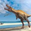 German museum to return rare Irritator dinosaur skull to Brazil