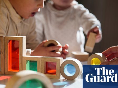‘Increasingly unsafe’: Australia’s in-home childcare program under threat from rising costs, advocate warns