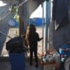 Women and children from alleged IS-linked families about to return to Australia from Syria, Tony Burke says