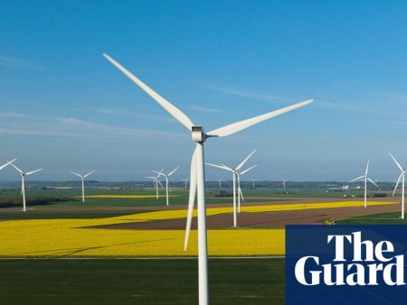 ‘Climate solutions will bring down bills and restore nature’: green issues and May elections