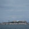 Coyote swam 2 miles to Alcatraz Island, going farther than scientists expected