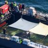 ‘Timmy’ the whale swims free in the North Sea
