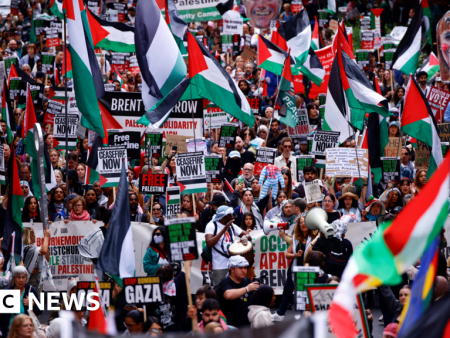 Pro-Palestinian marches have been hijacked, says minister