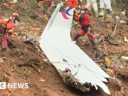 Deadly China plane crash was caused by fuel cut-off, says report