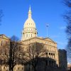 Democrats in Michigan keep state Senate majority with special election win