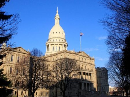 Democrats in Michigan keep state Senate majority with special election win