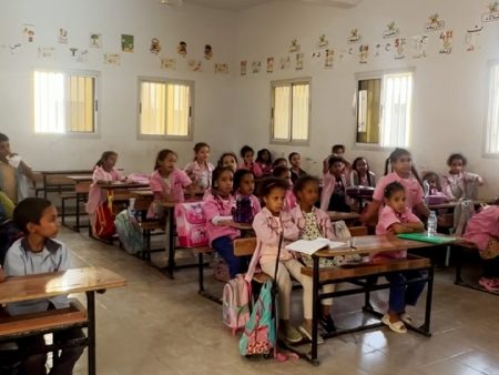 Mauritania’s plan to close private schools sparks backlash