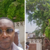 ‘This tree was planted by my ancestor hundreds of years ago and my family settled here’