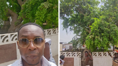‘This tree was planted by my ancestor hundreds of years ago and my family settled here’