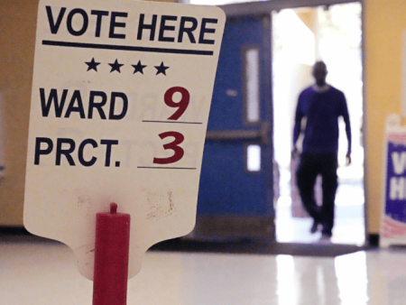 Louisiana House candidate sues over suspended primary