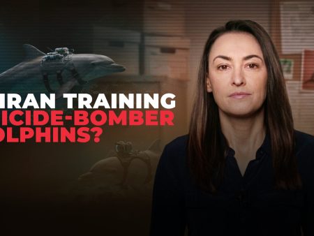 Why are Pentagon officials talking about Iran’s ‘deadly dolphins’?