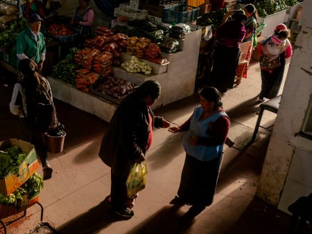 How Ecuador’s Andes Created a Language of Its Own