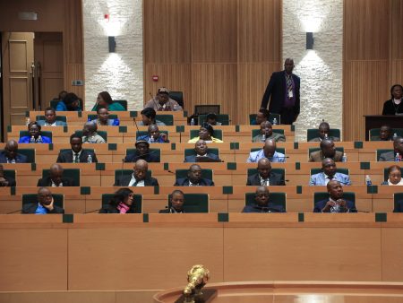 Zimbabwe bill to scrap presidential elections sparks backlash