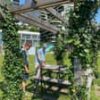 From mobile jungles to shadow art: how Dutch people try to beat the heat