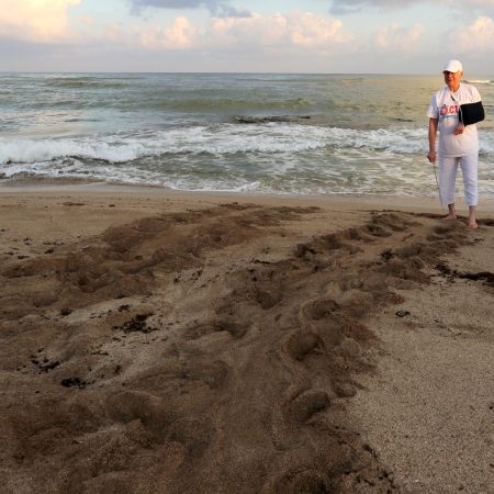 Mourners gather to remember Lebanese conservationist killed by Israel